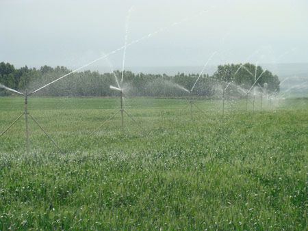 节水灌溉技术要求